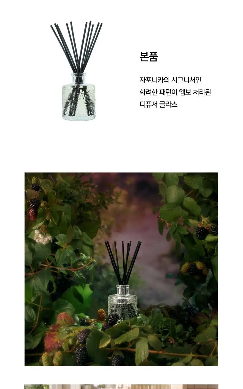[신제품] 볼루스파 자포니카 포리지드 와일드베리 미니디퓨저 100ml 상세페이지 7